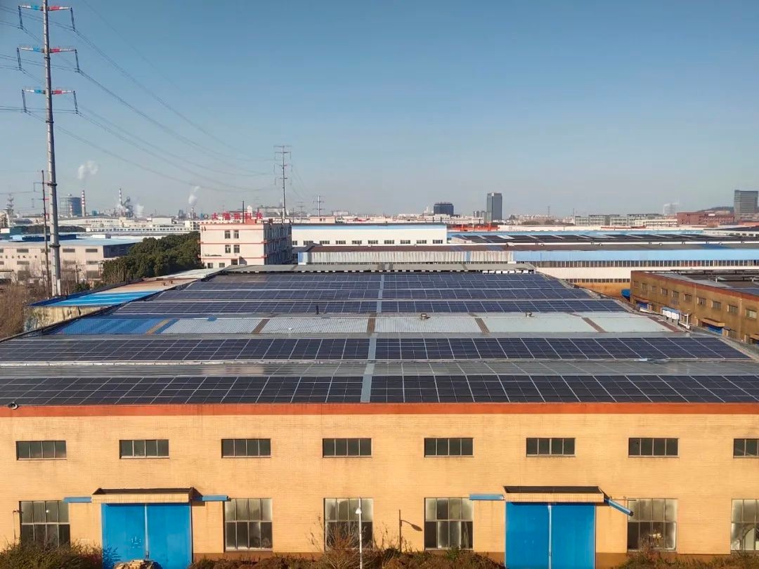 1678425857596160Vob4.jpg 18.jpg